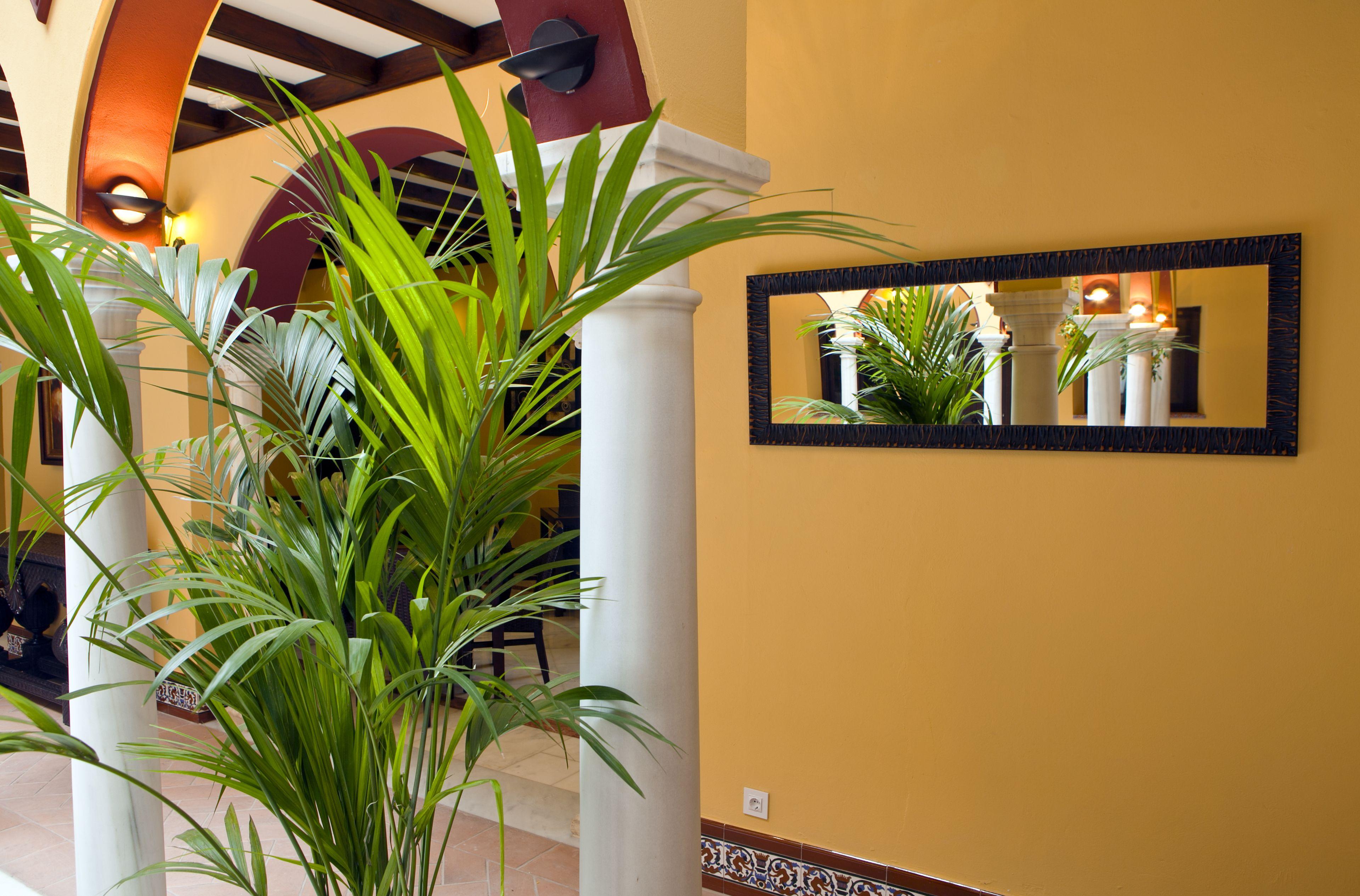 Itaca Sevilla By Soho Boutique — Photos 3